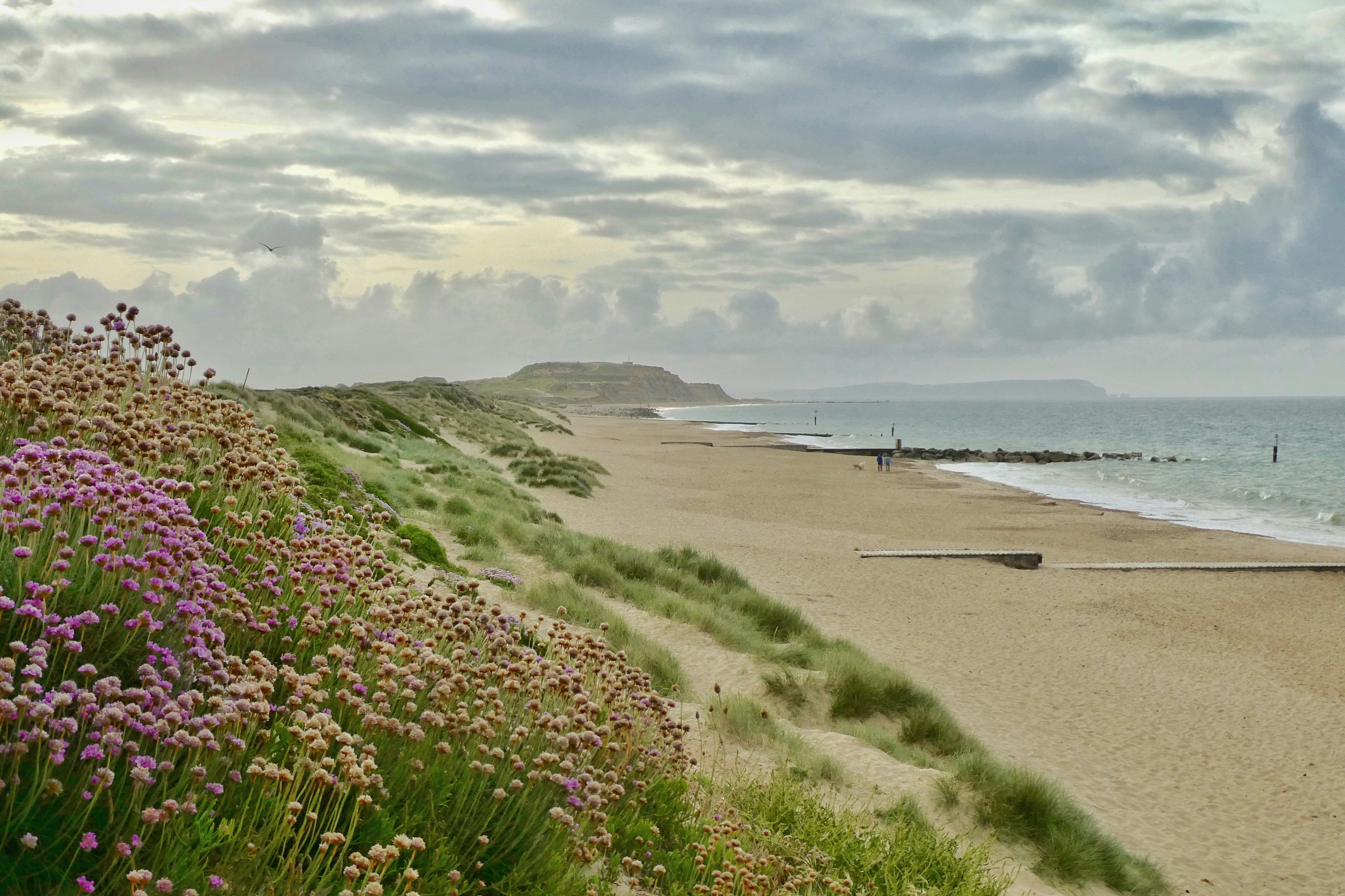 Bournemouth coastline